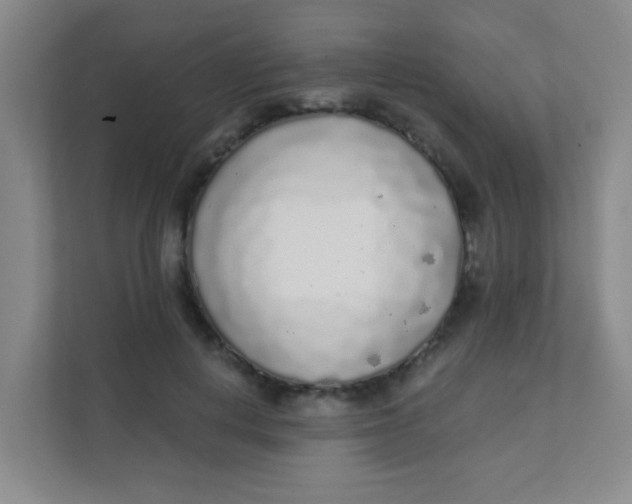 X0000111380648200907311054