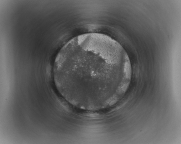 X0000111380650200907311054