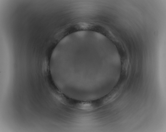 X0000111380651200907311054