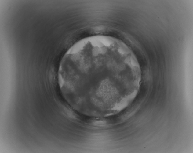 X0000111380653200907311054