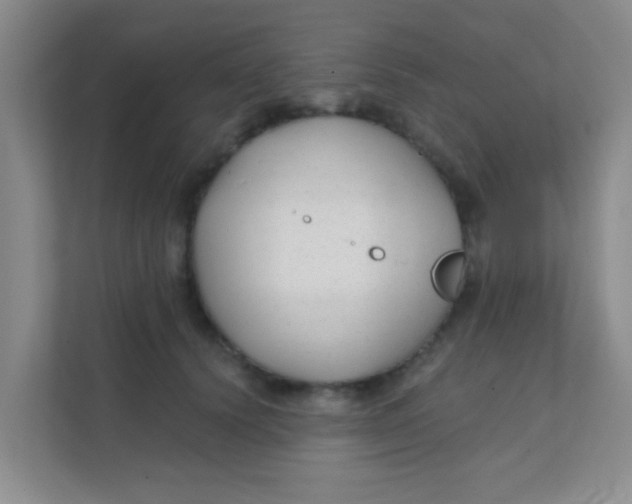 X0000111380656200907311054