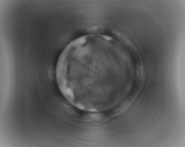 X0000111380659200907311054