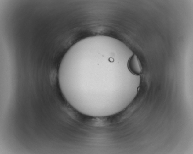 X0000111380660200907311054