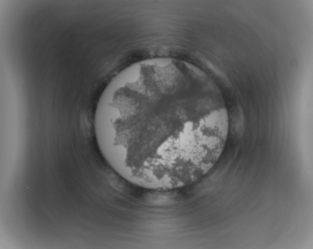 X0000111380661200907311054