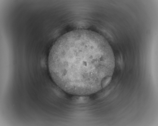 X0000111380663200907311054