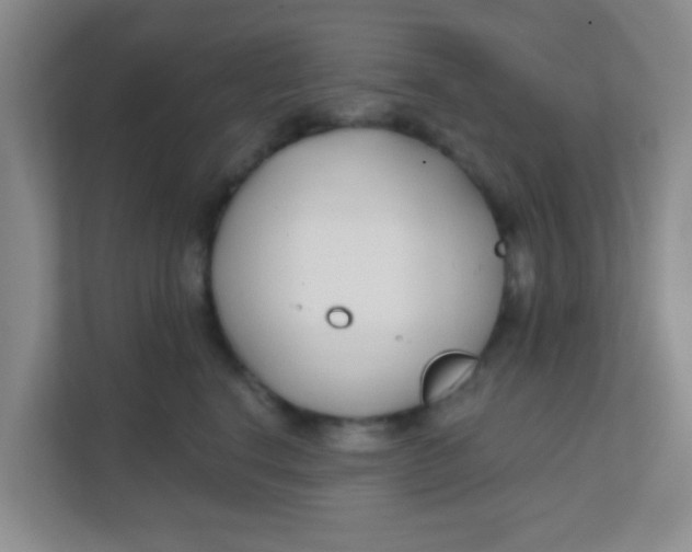 X0000111380664200907311054