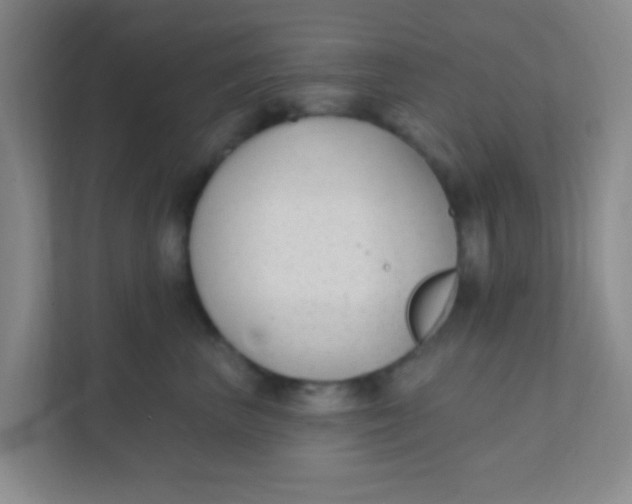 X0000111380667200907311054