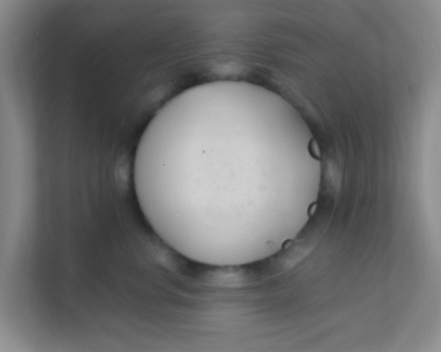 X0000111380668200907311054