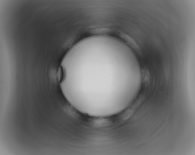 X0000111380669200907311054