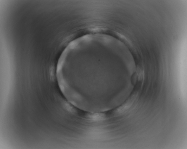 X0000111380670200907311054