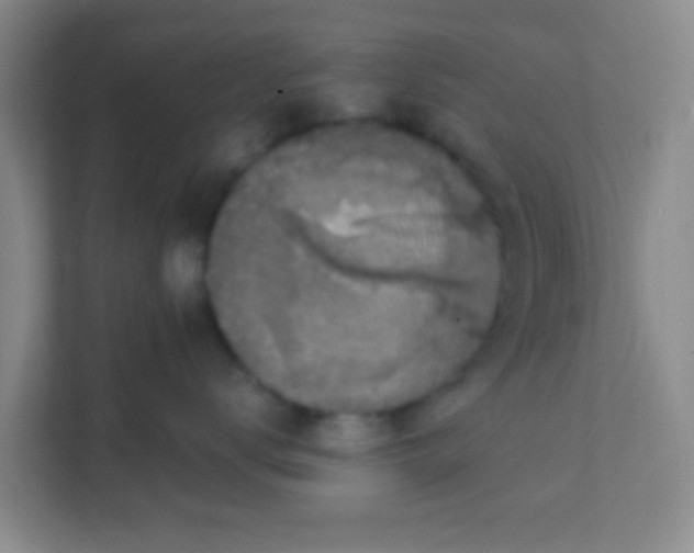 X0000111380672200907311054