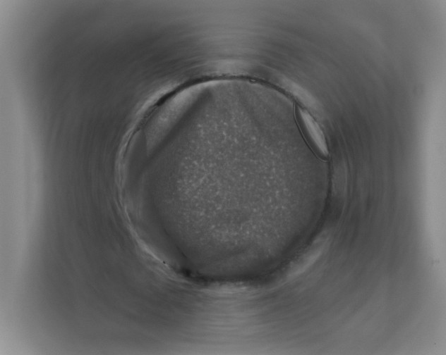 X0000111380673200907311054