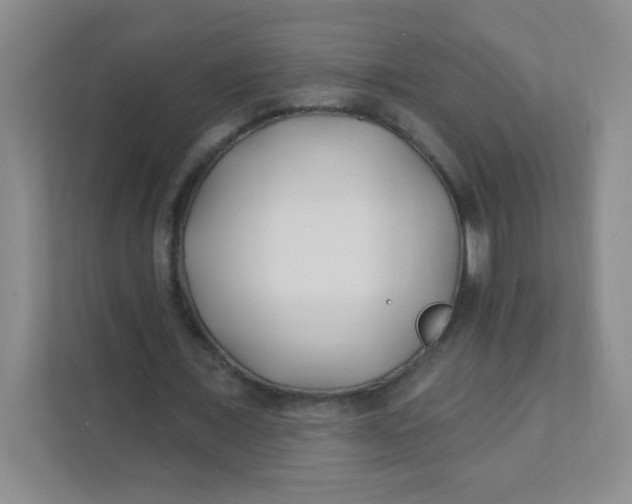 X0000111380675200907311054