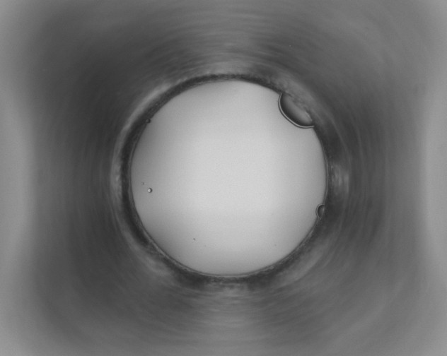 X0000111380676200907311054