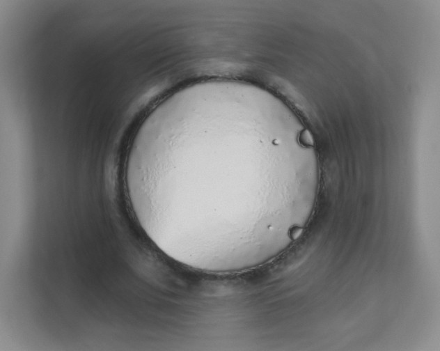 X0000111380679200907311054