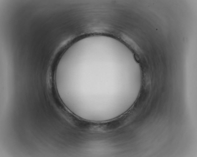 X0000111380680200907311054