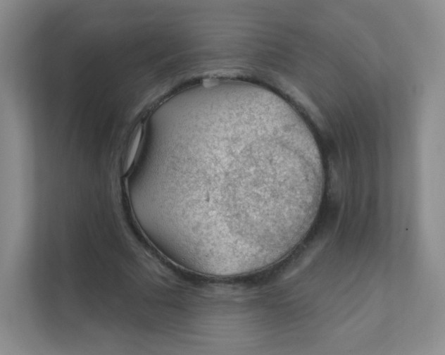 X0000111380681200907311054