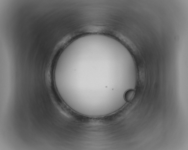 X0000111380682200907311054