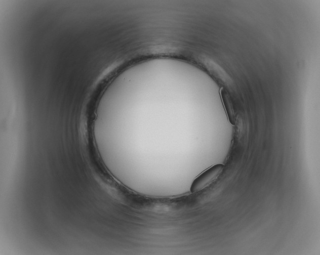 X0000111380684200907311054