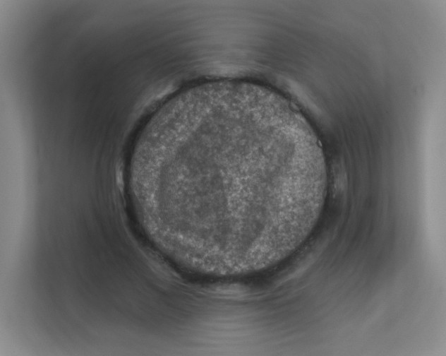 X0000111380685200907311054