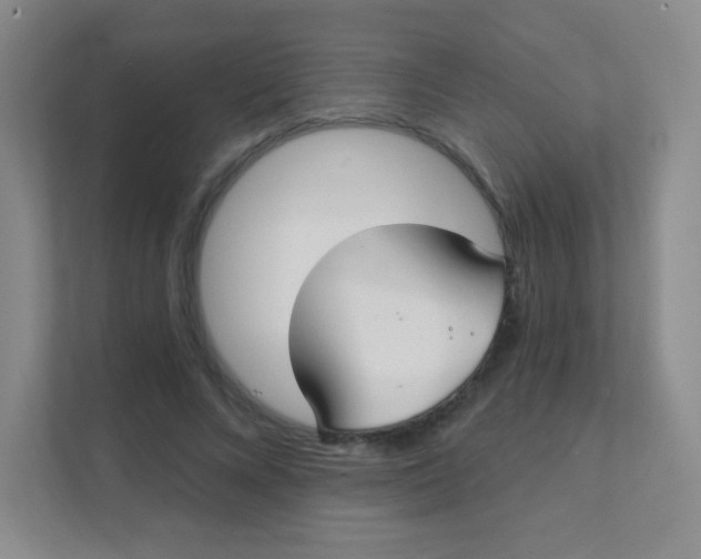 X0000111380688200907311054