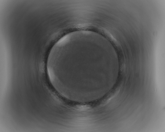 X0000111380689200907311054