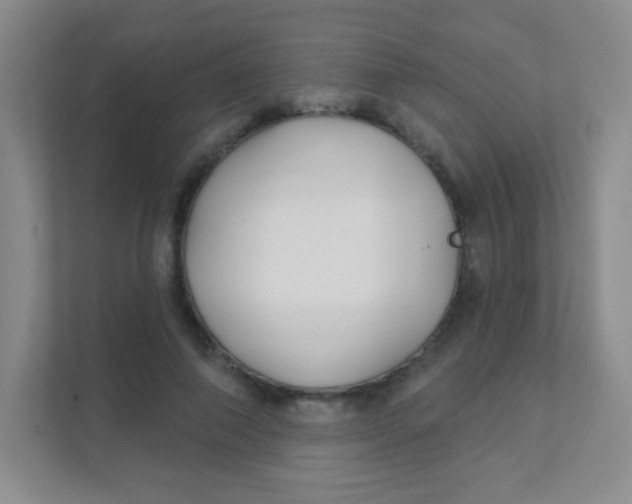 X0000111380690200907311054