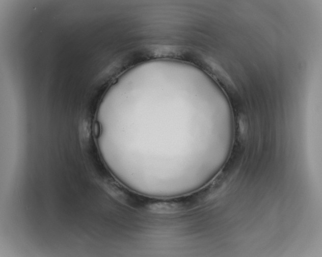 X0000111380691200907311054