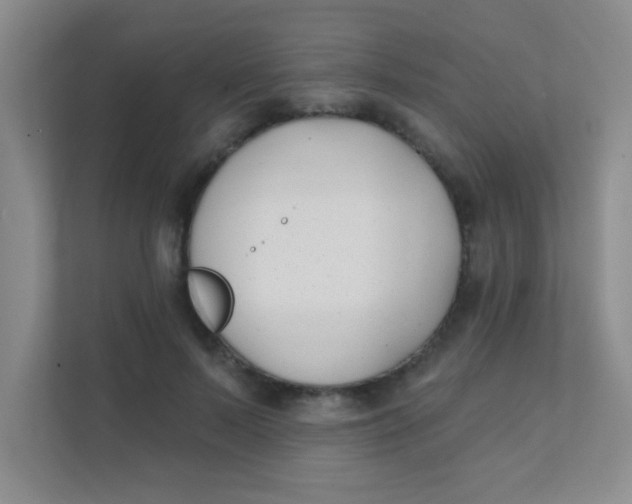 X0000111380695200907311054