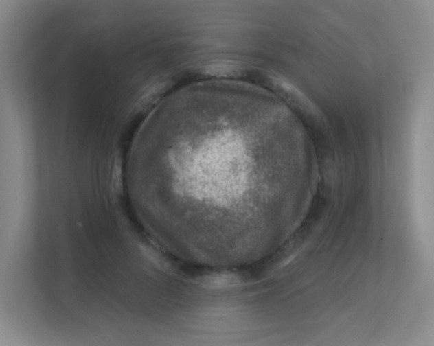 X0000111380696200907311054