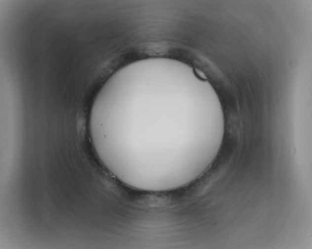 X0000111380697200907311054