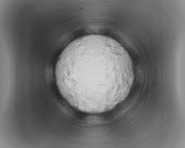 X0000111380699200907311054