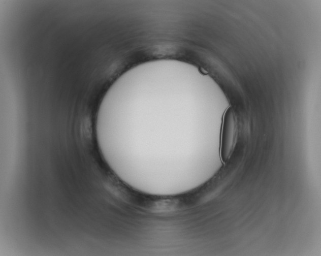 X0000111380700200907311053