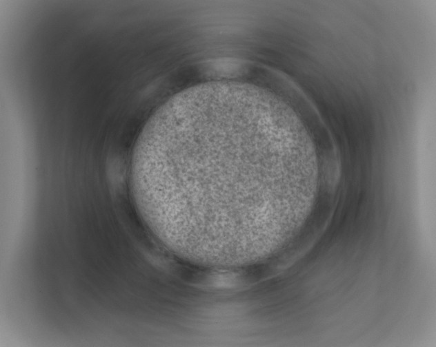 X0000111380701200907311053