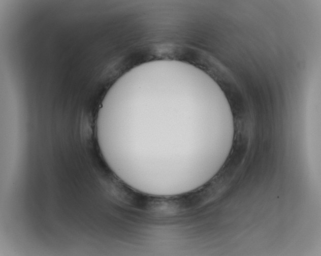 X0000111380702200907311053