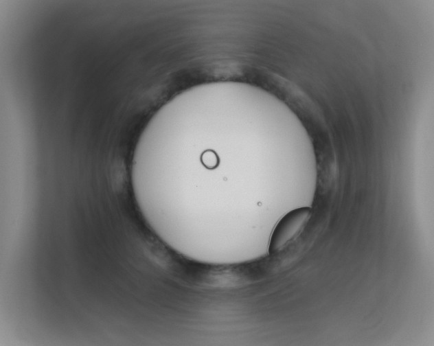 X0000111380704200907311053