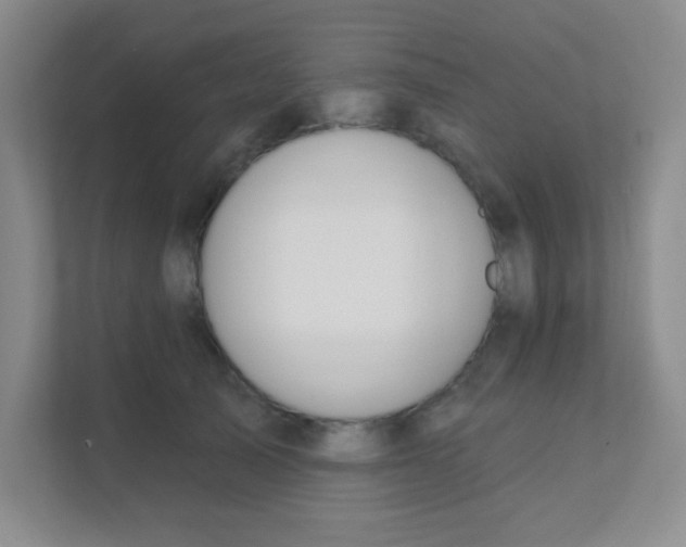 X0000111380705200907311053