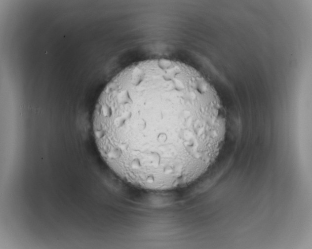 X0000111380707200907311053