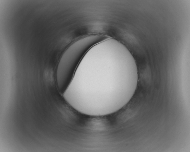 X0000111380708200907311053