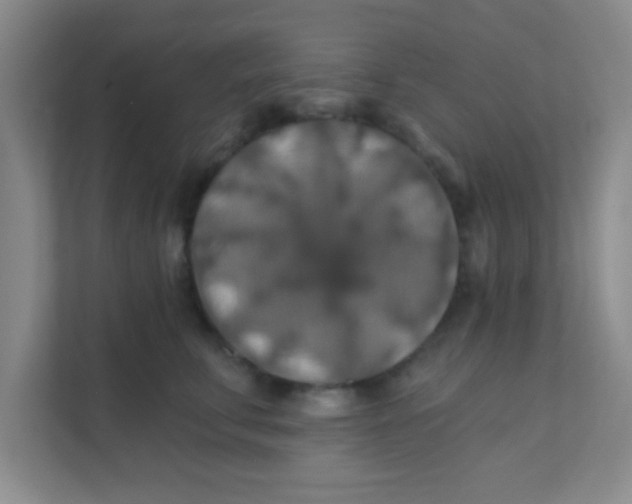 X0000111380711200907311053