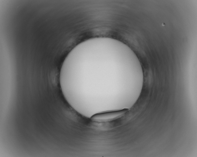 X0000111380712200907311053