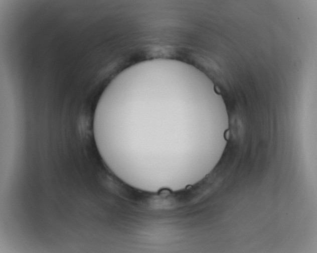 X0000111380714200907311053