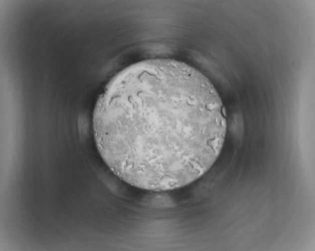 X0000111380715200907311053