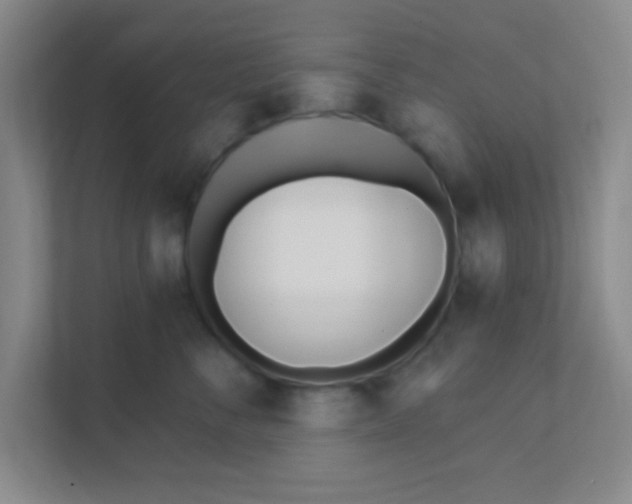 X0000111380716200907311053