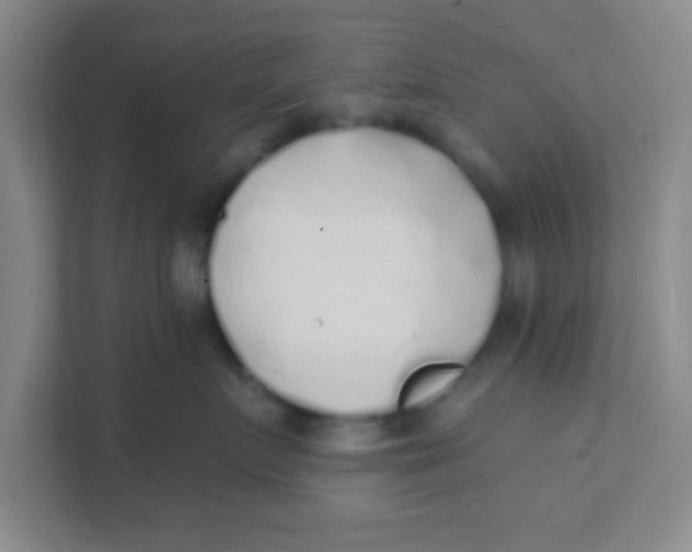 X0000111380719200907311053