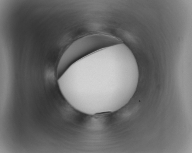 X0000111380720200907311053