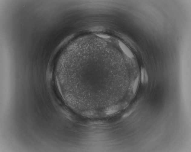 X0000111380723200907311053