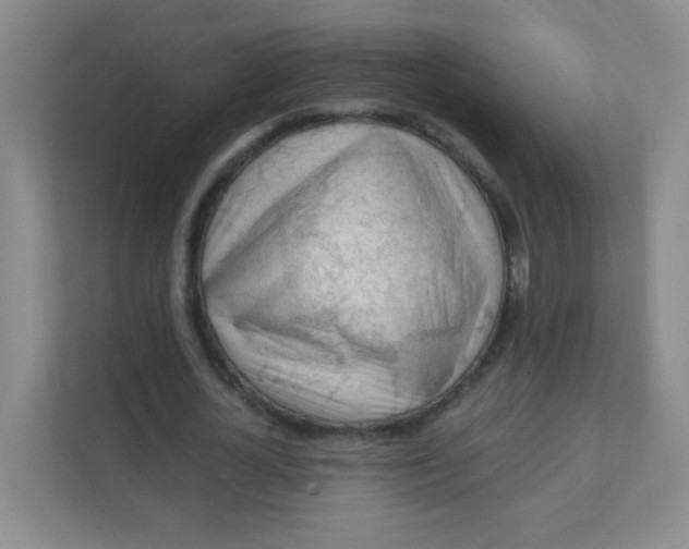 X0000111380724200907311053