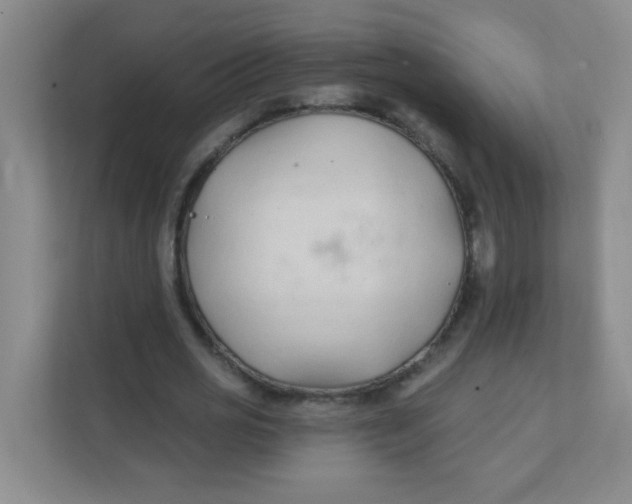 X0000111380725200907311053