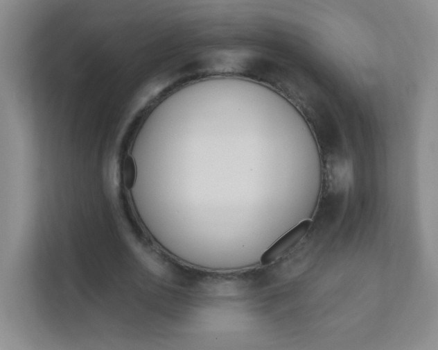 X0000111380726200907311053